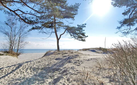 Franzine - 200M from the Sea: Chalet, Jardin, Siding, Batiments Jardin, Ombre, Cour, Arrière-Cour, Pelouse, Ferme, Aménagement Paysager
