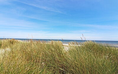Gaja - 1Km from the Sea