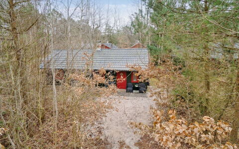 Blakke - 250M from the Sea: Arbre, Bois, Branche, Toit, Chalet, Zone Rurale, Cabanon, Batiments Jardin, Allée, Des Bois