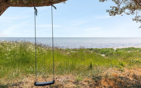 Botolphus - 20M from the Sea: Bois, Maison, Chalet, Domicile, Toit, Zone Rurale, Siding, Cabane En Rondins, Batiments Jardin, Dur