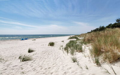Michel - 300M from the Sea