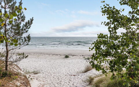Fastulf - 300M from the Sea: Bois, Tache De Bois, Planche, Dur, Chalet, Plate-Forme, Siding, Ombre, Parquet, Batiments Jardin