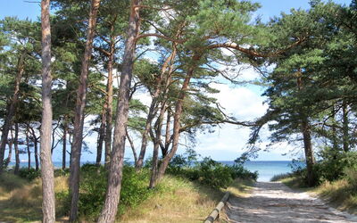 Bea - 300M from the Sea