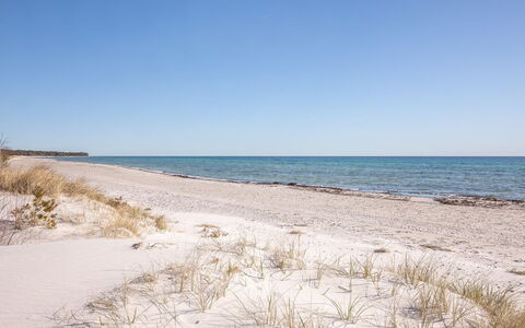 Unto - 25M from the Sea: Bois, Maison, Chalet, Domicile, Toit, Zone Rurale, Siding, Cabane En Rondins, Batiments Jardin, Dur