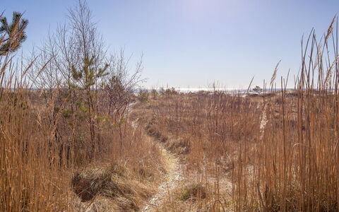Unto - 25M from the Sea: Bois, Maison, Chalet, Domicile, Toit, Zone Rurale, Siding, Cabane En Rondins, Batiments Jardin, Dur