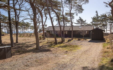 Unto - 25M from the Sea: Bois, Maison, Chalet, Domicile, Toit, Zone Rurale, Siding, Cabane En Rondins, Batiments Jardin, Dur
