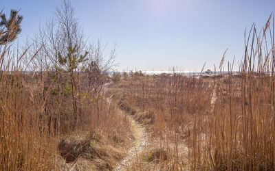 Unto - 25M from the Sea