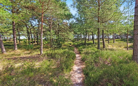 Læff - 50M from the Sea: Bois, Maison, Chalet, Domicile, Toit, Zone Rurale, Siding, Cabane En Rondins, Batiments Jardin, Dur