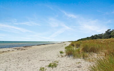 Læff - 50M from the Sea