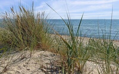 Mikkelina - 700M from the Sea