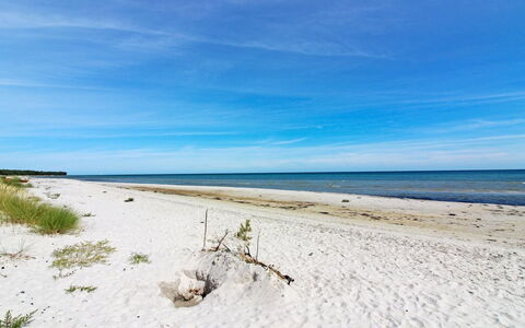 Jaarne - 800M from the Sea: Herbe, Arbuste, Maison, Jardin, Domicile, Chalet, Lot Terre, Pelouse, Couverture De Sol
