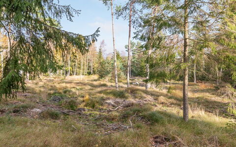 Jaarne - 800M from the Sea: Herbe, Arbuste, Maison, Jardin, Domicile, Chalet, Lot Terre, Pelouse, Couverture De Sol