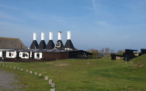 Skoge - 500M from the Sea: Herbe, Arbuste, Maison, Jardin, Domicile, Chalet, Lot Terre, Pelouse, Couverture De Sol