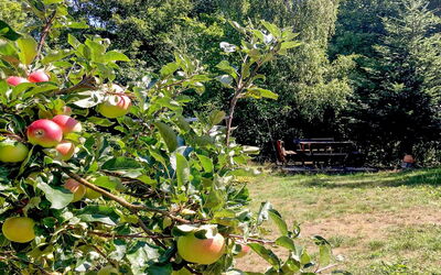 Hannele - 200M from the Sea