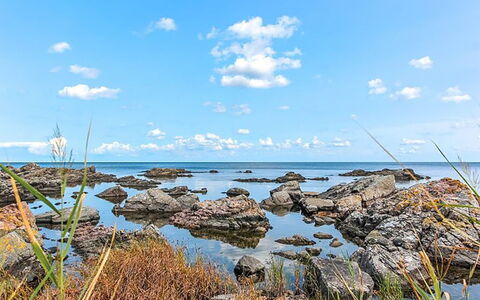 Nyyrikki - 100M from the Sea: Toit, Maison, Lot Terre, Domicile, Chalet, Biens, Batiments Jardin, Ombre, Cabane En Rondins, Aménagement Paysager