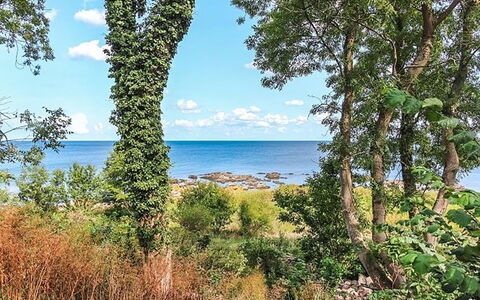Nyyrikki - 100M from the Sea: Toit, Maison, Lot Terre, Domicile, Chalet, Biens, Batiments Jardin, Ombre, Cabane En Rondins, Aménagement Paysager
