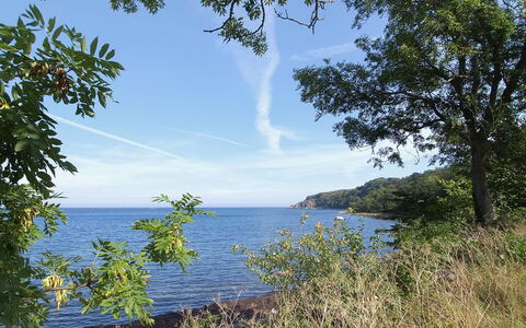 Alfred - 25M from the Sea: Domicile, Chalet, Porche, Siding, Ferme, Structure En Plein Air
