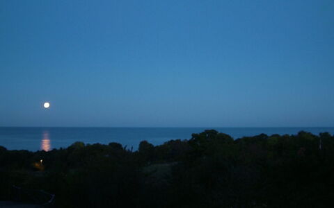 Iikka - 300M from the Sea: Bois, Maison, Chalet, Domicile, Toit, Zone Rurale, Siding, Cabane En Rondins, Batiments Jardin, Dur