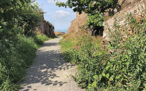 Seba - 500M from the Sea: Bois, Maison, Chalet, Domicile, Toit, Zone Rurale, Siding, Cabane En Rondins, Batiments Jardin, Dur