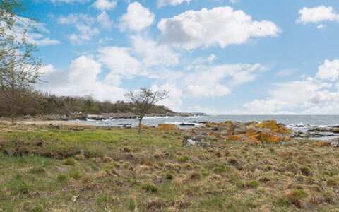 Ensio - 150M from the Sea: Ciel, Bleu, Nuage, Végétation, Roche, Écorégion, Horizon, Côte, Communauté Des Plantes, Prairie