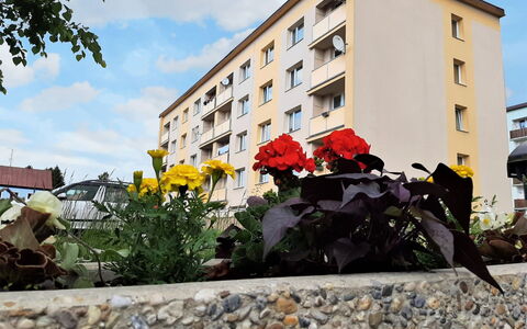 Helena Harrachov: Fleur, Ciel, Bâtiment, Nuage, Plante, Jour, Fenêtre, Maison, Quartier, Surface De La Route