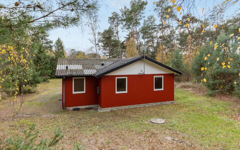 Gerty - 300M from the Sea: Toit, Maison, Domicile, Chalet, Siding, Biens, Allée, Batiments Jardin, Cour, Cabanon