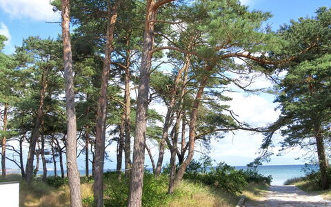 Kiana - 250M from the Sea: Bois, Maison, Chalet, Domicile, Toit, Zone Rurale, Siding, Cabane En Rondins, Batiments Jardin, Dur