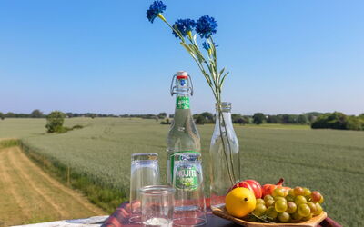 Nilia - 3.5Km from the Sea