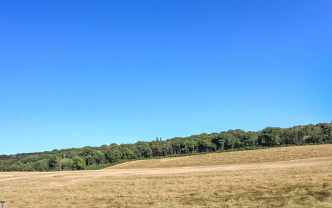 Rask - 3Km from the Sea: Bois, Maison, Chalet, Domicile, Toit, Zone Rurale, Siding, Cabane En Rondins, Batiments Jardin, Dur