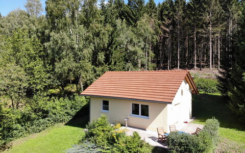 Konrad: Plante, Propriété, Communauté Des Plantes, La Nature, Ciel, Bâtiment, Feuille, Maison, Fenêtre, Arbre