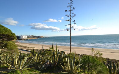 Salou 705: L'Eau, Ciel, Propriété, Arbre, Bâtiment, Piscine, Bleu Azur, Plan D'Eau, Loisir, Design Urbain