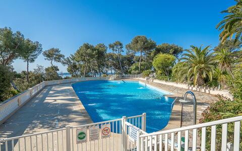 Mont des Oiseaux: Piscine, Ferme, Biens, Villa, Recours, Hacienda, Eco Hôtel, Arrière-Cour
