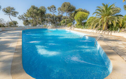 Mont des Oiseaux: Piscine, Ferme, Biens, Villa, Recours, Hacienda, Eco Hôtel, Arrière-Cour
