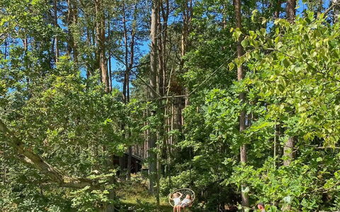 Meret - 800M from the Sea: Feuille, Arbre, Environnement Naturel, Bois, Végétation, Branche, Forêt, Communauté Des Plantes, Jungle, Tronc