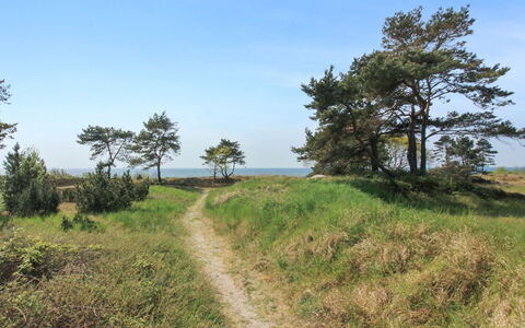 Essi - 300M from the Sea: Chalet, Jardin, Siding, Batiments Jardin, Ombre, Cour, Arrière-Cour, Pelouse, Ferme, Aménagement Paysager