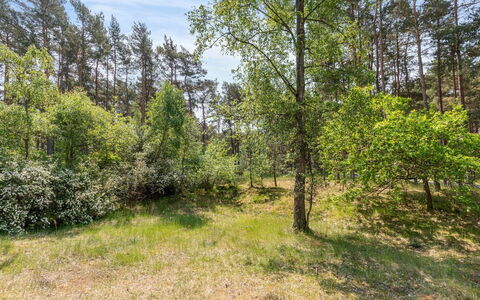 Aave - 800M from the Sea: Bois, Maison, Chalet, Domicile, Toit, Zone Rurale, Siding, Cabane En Rondins, Batiments Jardin, Dur