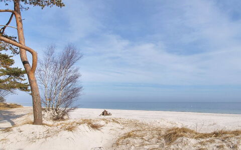 Anemette - 100M from the Sea: Ciel, Bleu, Environnement Naturel, Branche, Bois, L'Hiver, Le Sable, Gelé, Plage, Brindille