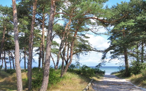 Ignat - 175M from the Sea: Bois, Maison, Chalet, Domicile, Toit, Zone Rurale, Siding, Cabane En Rondins, Batiments Jardin, Dur