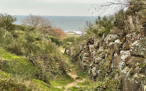 Ramona - 10M from the Sea: Bois, Maison, Chalet, Domicile, Toit, Zone Rurale, Siding, Cabane En Rondins, Batiments Jardin, Dur
