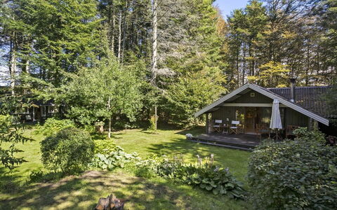 Iskra - 900M from the Sea: Maison, Chalet, Domicile, Arbuste, Toit, Jardin, Lot Terre, Couverture De Sol, Printemps