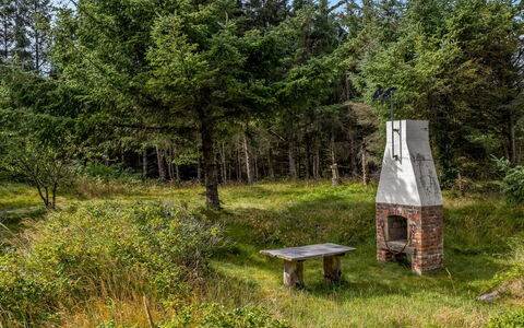 Matilda - 375M from the Sea: Herbe, Arbre, Environnement Naturel, Arbuste, Prairie, Lot Terre, Communauté Des Plantes, Tronc