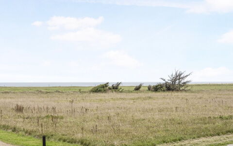 Into - 400M from the Sea: Ciel, Herbe, Prairie, Horizon, Plaine, Écorégion, Végétation, Paysage Naturel, Nuage, Lot Terre
