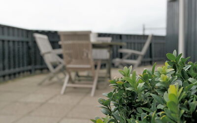 Wifred - 250M from the Sea