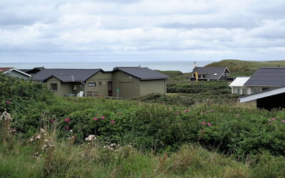 Wifred - 250M from the Sea