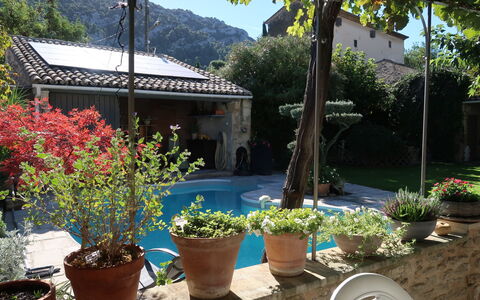 La Croix du Puits: Fleur, Plante, Propriété, Pot De Fleur, Bâtiment, Ciel, Plante D'Appartement, Arbre, Ombre, Maison