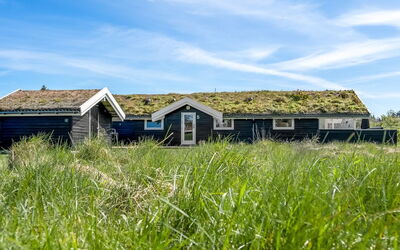 Eddi - 550M from the Sea