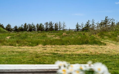 Tera - 600M from the Sea: Herbe, Prairie, Lot Terre, Chalet, Zone Rurale, Prairie, Batiments Jardin, Jardin, Cabanon