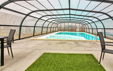Emiliana - 500M from the Sea: Communauté Des Plantes, Lumière Du Soleil, Plante Herbacée, Jardin, Plantation, Agriculture, Ferme