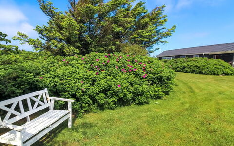 Violeta - 250M from the Sea: Fleur, Arbuste, Rose, Jardin, Couverture De Sol, Violet, Printemps, Pelouse, Prairie, Aménagement Paysager