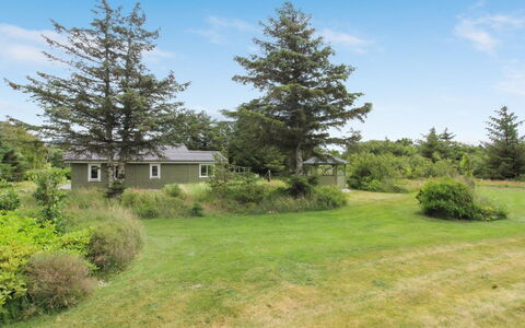 Ele - 900M from the Sea: 